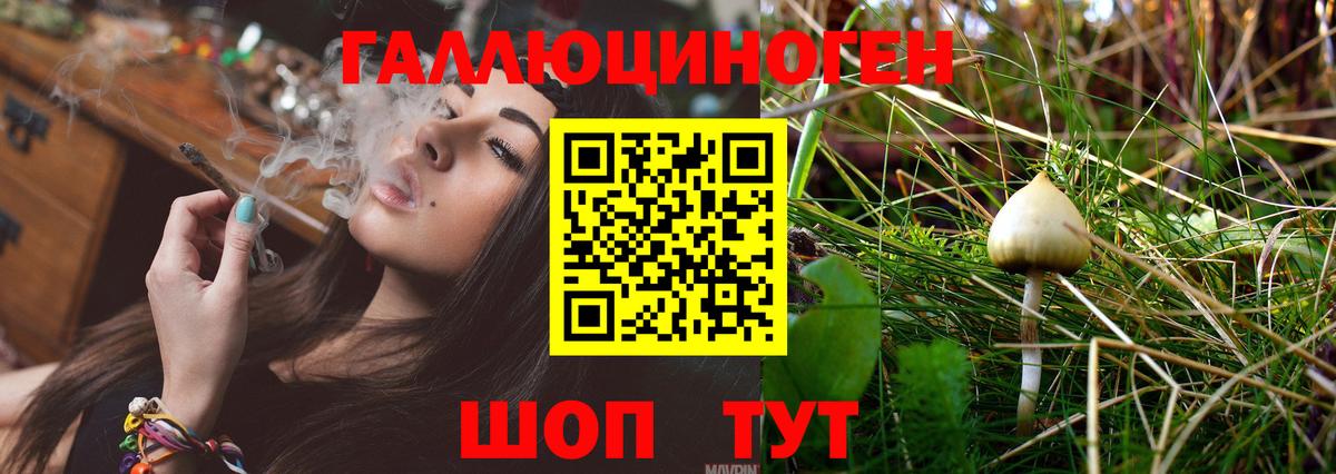 Галлюциногенные грибы GOLDEN TEACHER Медногорск